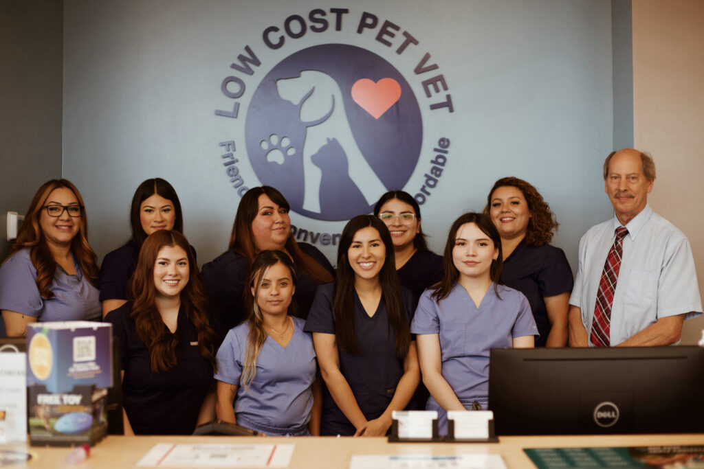 San Antonio Low Cost Pet Vet Team